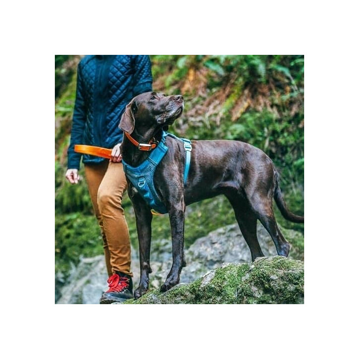 Kurgo® Journey Air Postroj pro psy modrá S