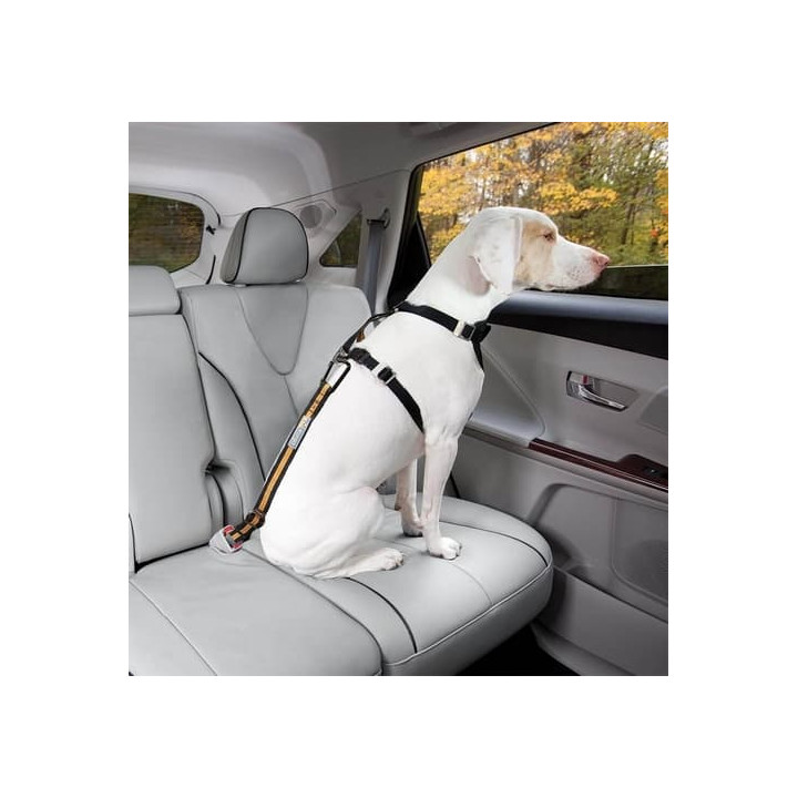 Kurgo® Bezpečnostní pás pro psa do auta Direct to Seatbelt Tether oranžový