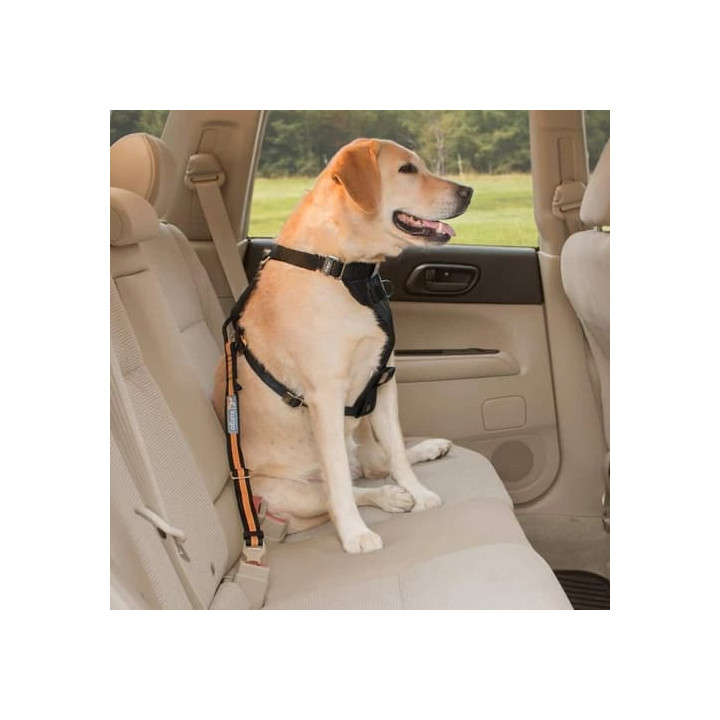 Kurgo® Bezpečnostní pás pro psa do auta Direct to Seatbelt Tether oranžový