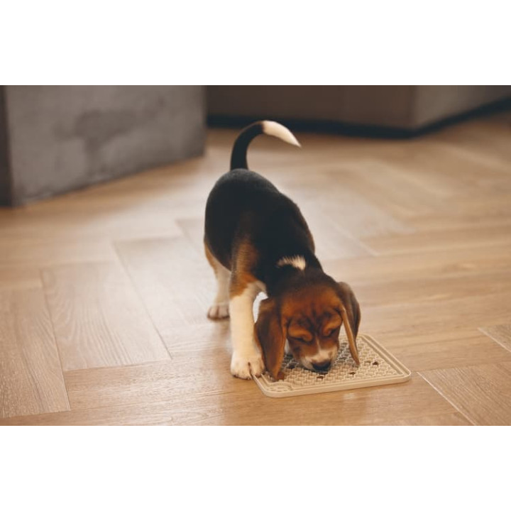 Beeztees Gumová lízací podložka Šedá 20cm