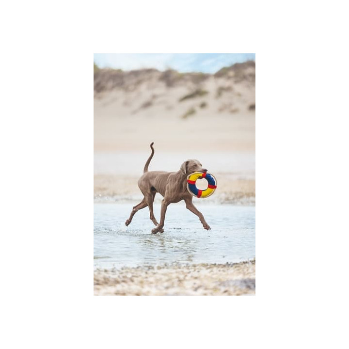 Beeztees Buoy Plovoucí hračka pro psy 28,5cm