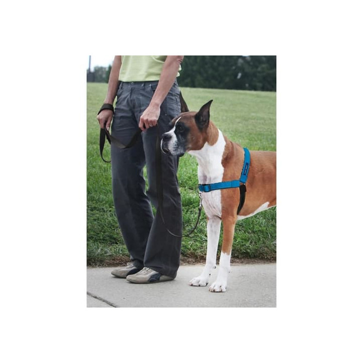 PetSafe® Postroj EasyWalk Deluxe modrý velikost M/L