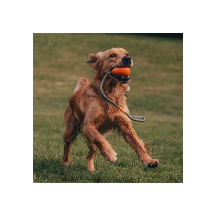Beco Slinger Pebble Hračka pro psy oranžová 49cm
