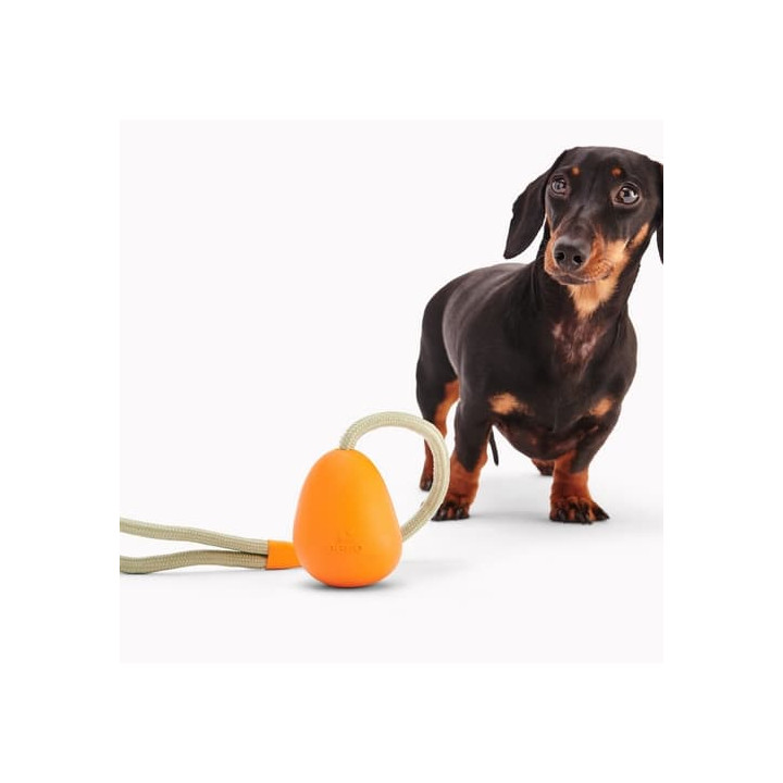 Beco Slinger Pebble Hračka pro psy oranžová 49cm