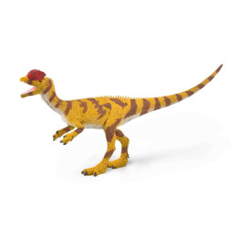 Dilophosaurus