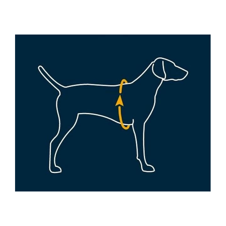 RUFFWEAR Web Master Postroj pro psy šedý XXS