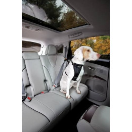 Kurgo® Bezpečnostní pás pro psa do auta Seatbelt Tether černý