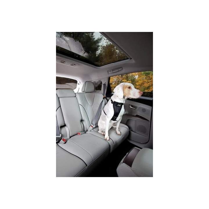 Kurgo® Bezpečnostní pás pro psa do auta Seatbelt Tether černý