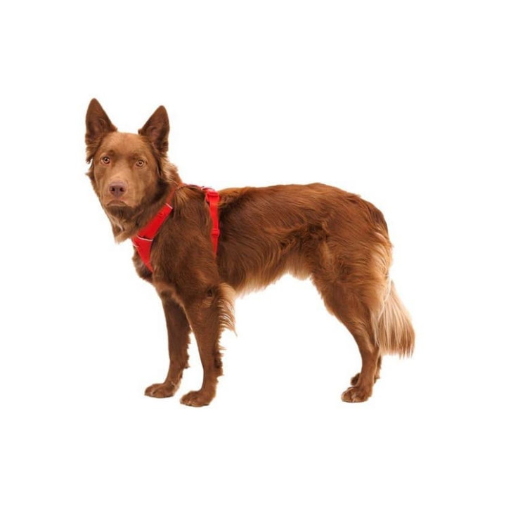 RUFFWEAR Front Range® Postroj pro psy Red Canyon XXS