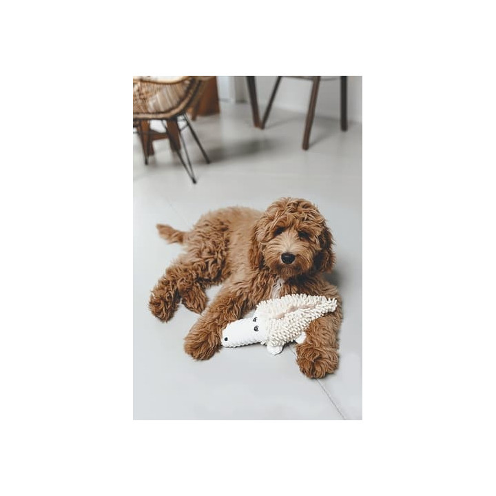 Beeztees ECO Hračka pro psy Krokodýl Jort 32cm