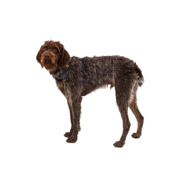 RUFFWEAR Front Range® Postroj pro psy Moonlight Mountains XXS