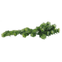Lucky Reptile Turtle Plants Horn Fern cca 40 cm