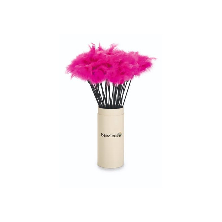 Beeztees Hračka škádlítko pro kočky s chmýřím 45cm