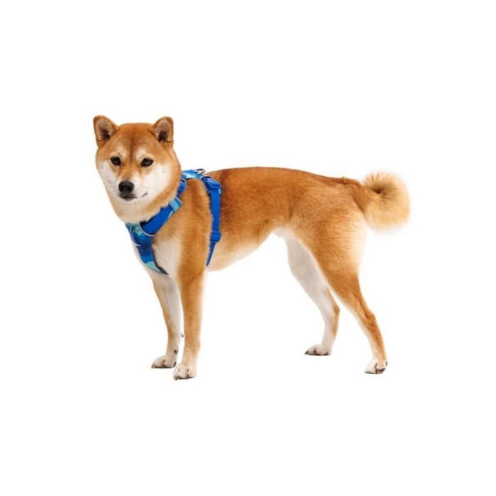 RUFFWEAR Front Range® Postroj pro psy Coastal Mountains S