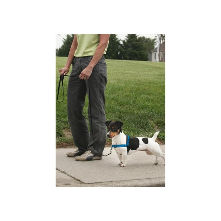 PetSafe® Postroj EasyWalk Deluxe modrý velikost S