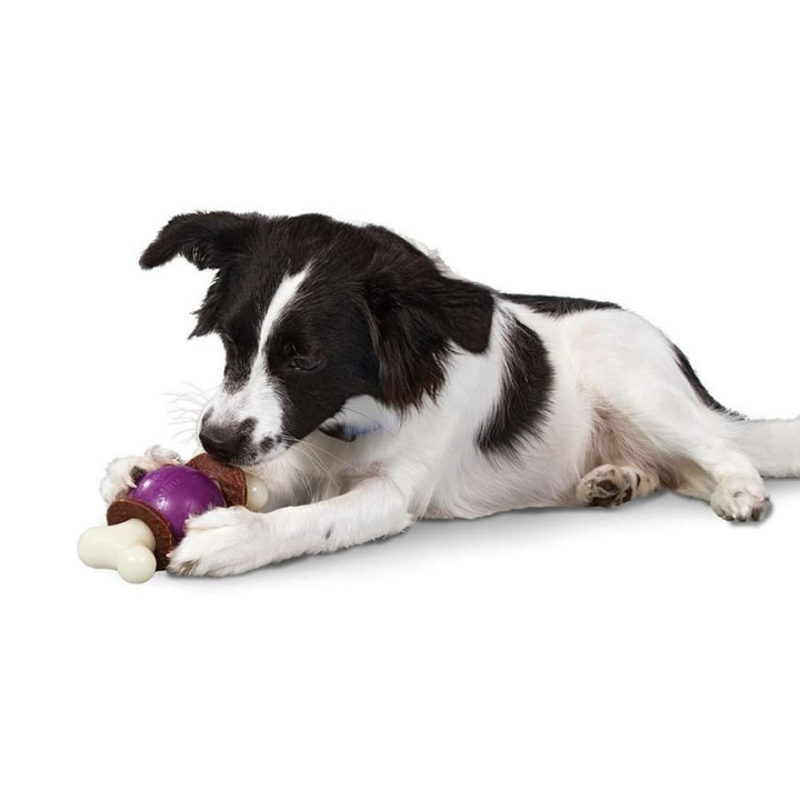 Bouncy Bone™ M
