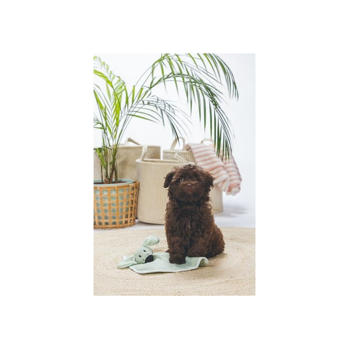 Beeztees Cuddle Mazlící dečka Wuggie Mentolová 31cm