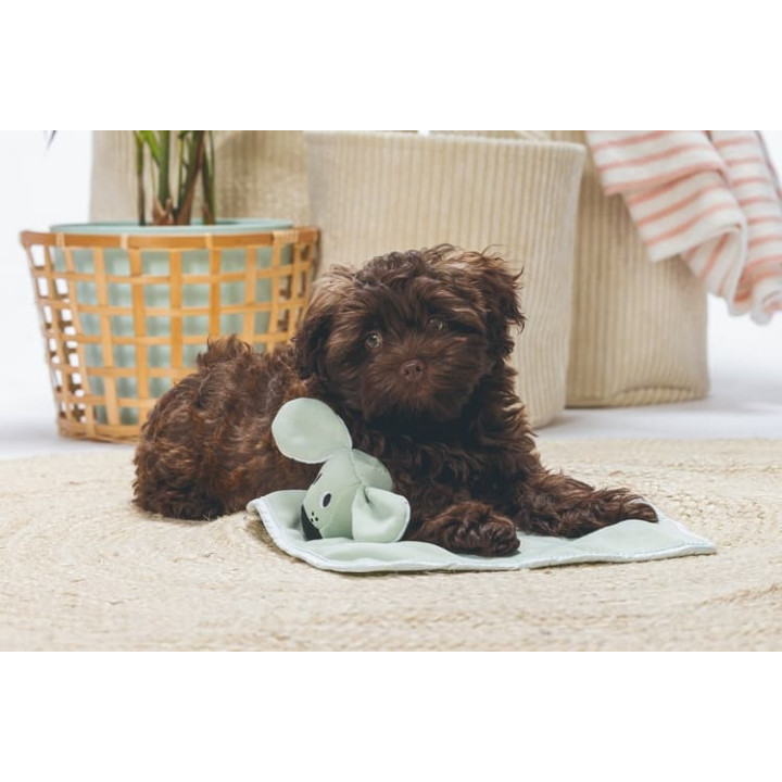 Beeztees Cuddle Mazlící dečka Wuggie Mentolová 31cm