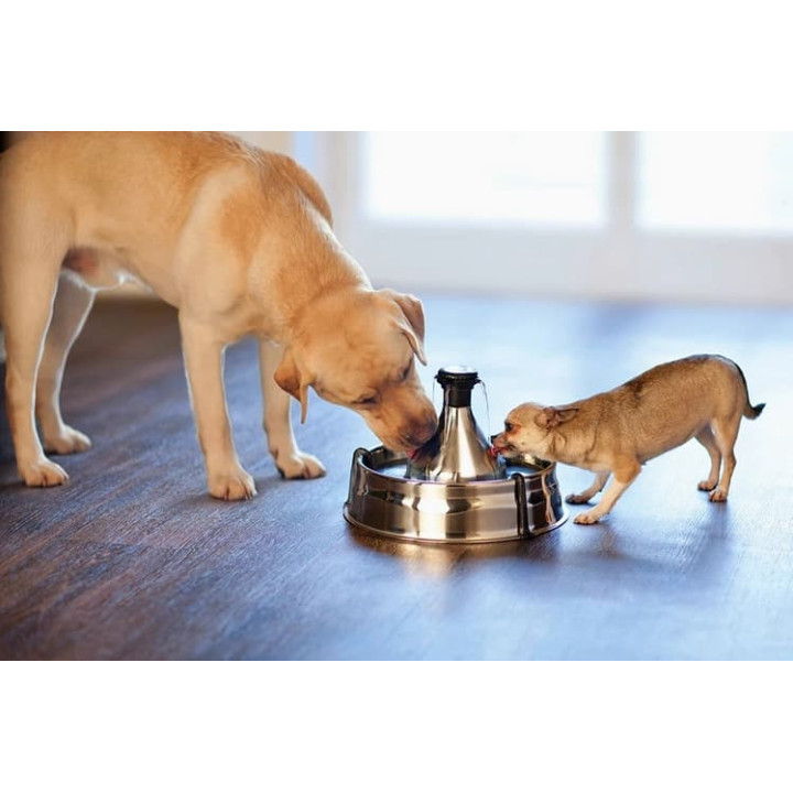 PetSafe® 360 Nerezová fontánka 3,8l