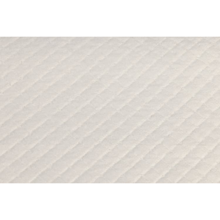Beeztees Podložky trénovací pro štěňata L 90x60cm 10kusů