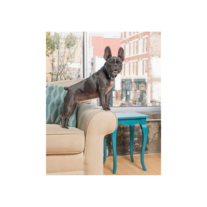 PetSafe® Obojek proti štěkání Dobíjecí LITE