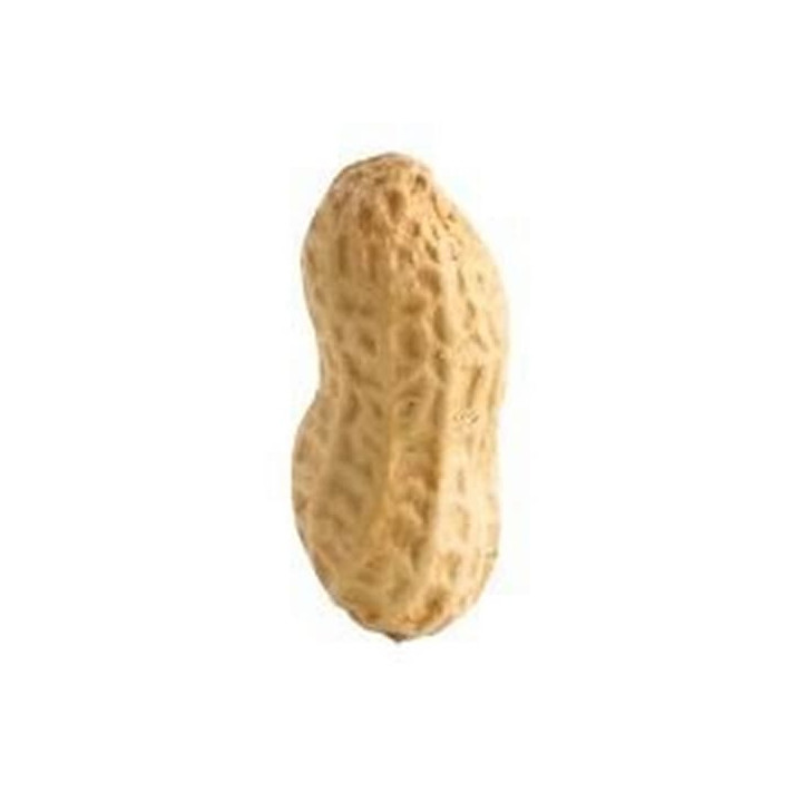 Beco Treats Odměna pro psy Peanut 70g