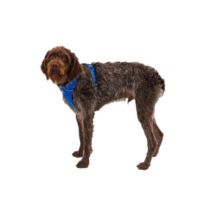 RUFFWEAR Front Range® Postroj pro psy Blue Pool XS
