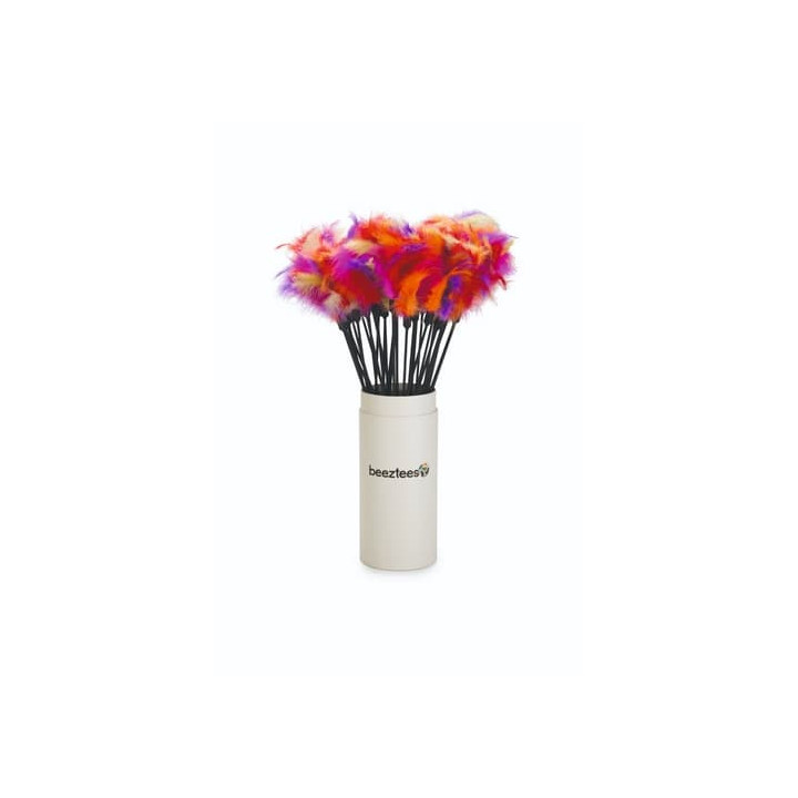 Beeztees Hračka škádlítko pro kočky s pírky 45cm