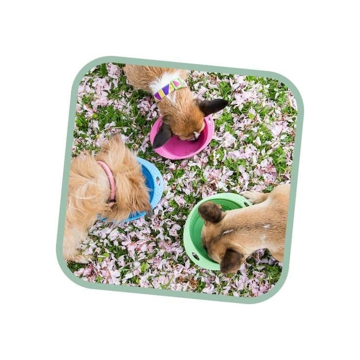 Miska pro psa, cestovní, BecoBowl Travel-pink L, EKO