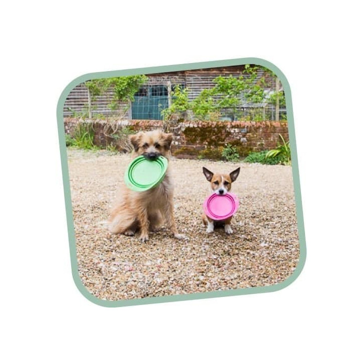 Miska pro psa, cestovní, BecoBowl Travel-pink L, EKO