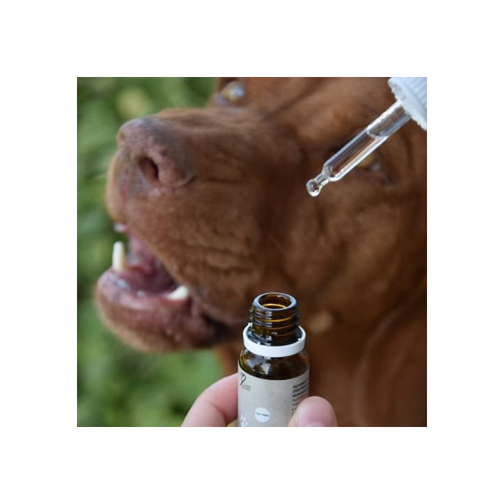 Cure Point CBD PET 5% Olej pro psy Tuna 10ml