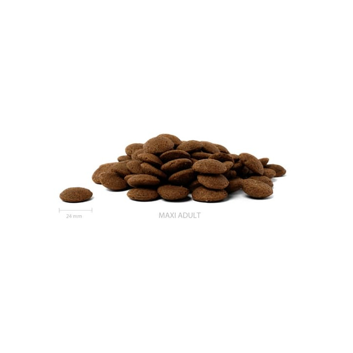 ALMI Maxi Adult 12kg