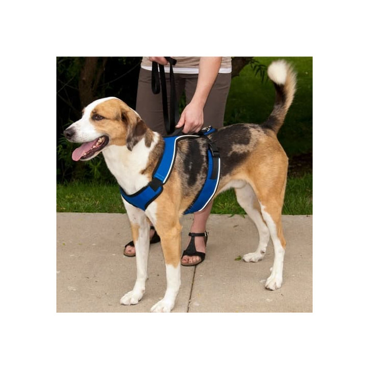PetSafe® Postroj EasySport červený L