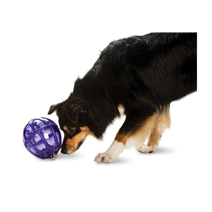 Kibble Nibble XS/S