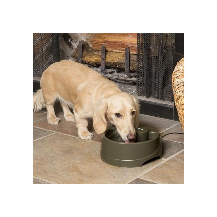 PetSafe® Current Fontánka L