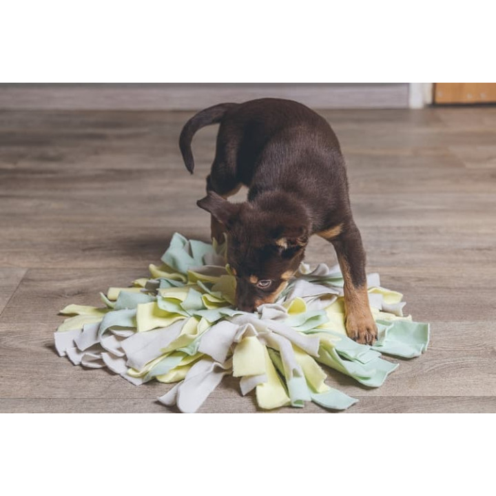 Beeztees Čmuchací kobereček Sniffy 22cm