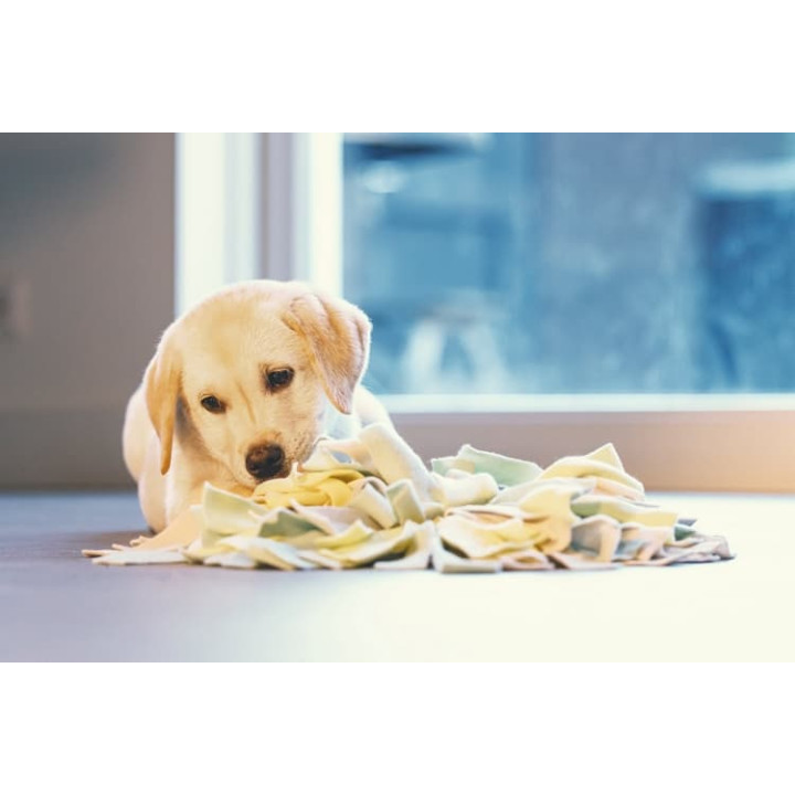 Beeztees Čmuchací kobereček Sniffy 22cm