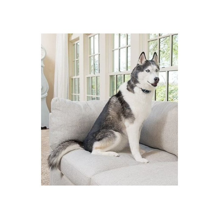 PetSafe® Obojek proti štěkání Dobíjecí