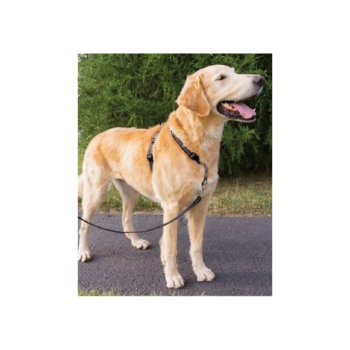 PetSafe® postroj pro psy 3v1, Harness and Car Restraint, černá, M