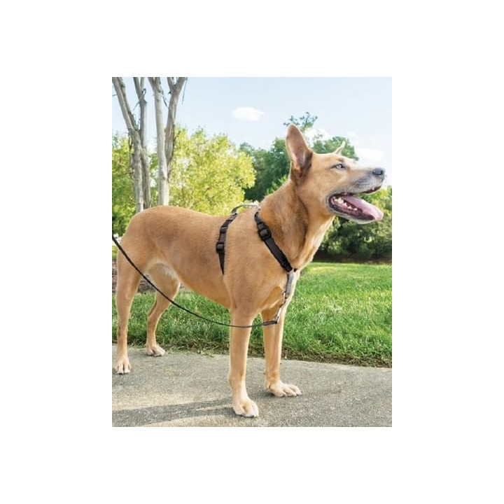 PetSafe® postroj pro psy 3v1, Harness and Car Restraint, černá, M