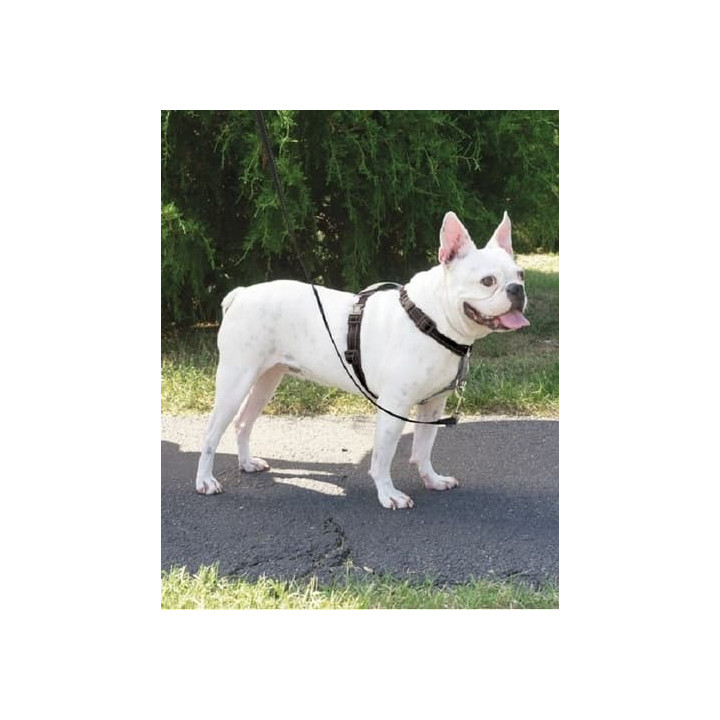 PetSafe® postroj pro psy 3v1, Harness and Car Restraint, černá, M