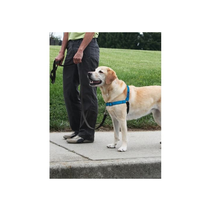 PetSafe® Postroj EasyWalk Deluxe modrý velikost L