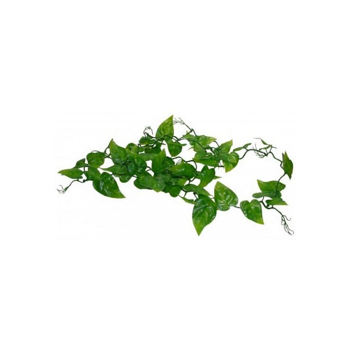 Lucky Reptile Jungle Vine Philo Vine cca 200 cm