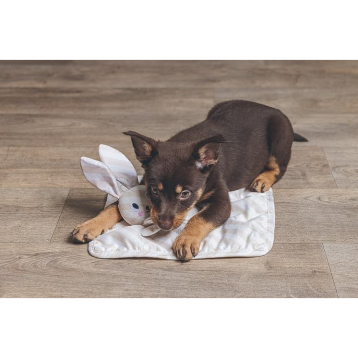 Beeztees Cuddle Mazlící dečka Dimpie 31cm