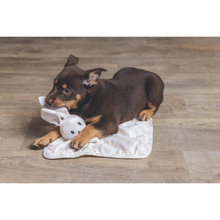 Beeztees Cuddle Mazlící dečka Dimpie 31cm