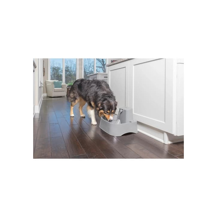 PetSafe® Fontánka 7,5l
