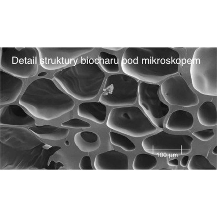 DR UHLI Biochar Aktivní uhlí pro zvířata Prášek 100g