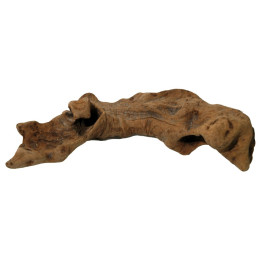 Lucky Reptile Opuwa Wood 15-30 cm dřevo z africké Namibie