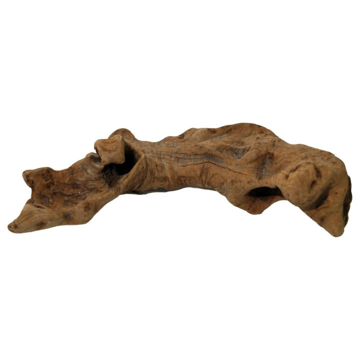 Lucky Reptile Opuwa Wood 15-30 cm dřevo z africké Namibie