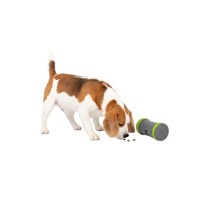 PetSafe® Kibble Chase™ Elektronická hračka pro psy